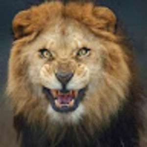 Meet your Posher, Greg